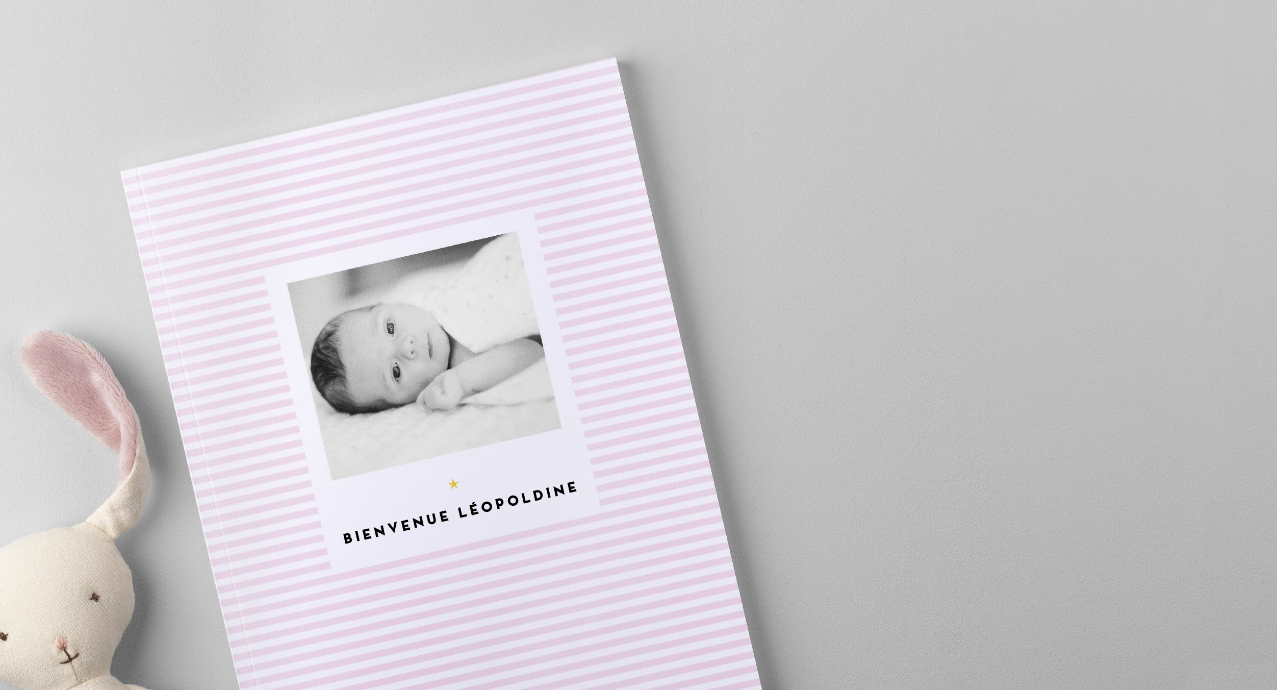 Coloris ROSE Mon livre de naissance Fille