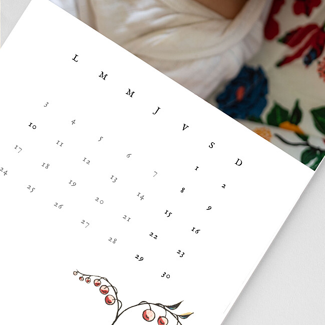 Intérieur calendrier Antoinette Poisson Intérieur calendrier Antoinette Poisson