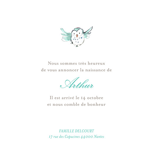 Faire-part de naissance Hibou aquarelle turquoise Faire-part de naissance Hibou aquarelle turquoise