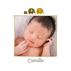 Faire-part de naissance 3 éléphants ocre Faire-part de naissance 3 éléphants ocre