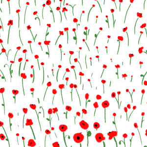 Faire-part de naissance Coquelicot photo rouge Faire-part de naissance Coquelicot photo rouge