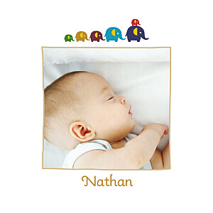 Faire-part de naissance 6 éléphants ocre Faire-part de naissance 6 éléphants ocre