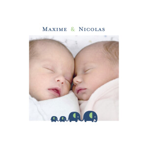 Faire-part de naissance Jumeaux garçons vert Faire-part de naissance Jumeaux garçons vert