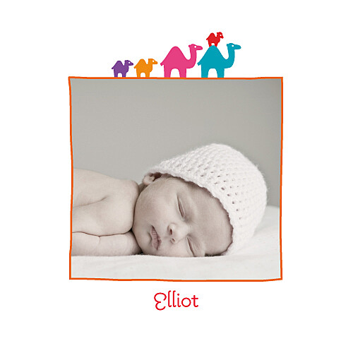 Faire-part de naissance 5 dromadaires orange Faire-part de naissance 5 dromadaires orange