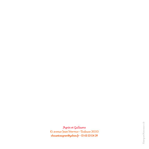 Faire-part de naissance 5 dromadaires orange Faire-part de naissance 5 dromadaires orange
