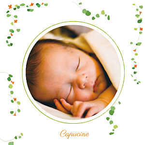 Faire-part de naissance Capucine orange Faire-part de naissance Capucine orange