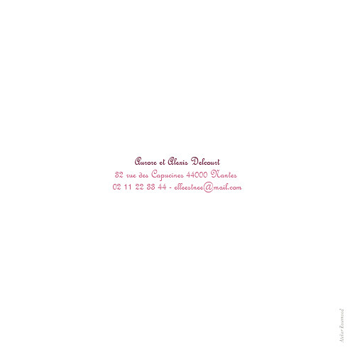 Faire-part de naissance 6 photos 4 pages prune Faire-part de naissance 6 photos 4 pages prune