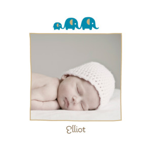 Faire-part de naissance 3 éléphants 2photos bleu café Faire-part de naissance 3 éléphants 2photos bleu café