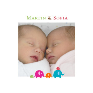 Faire-part de naissance Jumeaux fratrie rouge/vert Faire-part de naissance Jumeaux fratrie rouge/vert