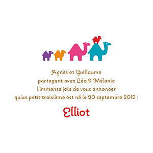 Faire-part de naissance 5 dromadaires (recto verso) rouge Faire-part de naissance 5 dromadaires (recto verso) rouge