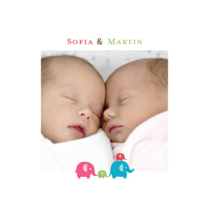 Faire-part de naissance Jumeaux mixte recto verso rose et vert Faire-part de naissance Jumeaux mixte recto verso rose et vert