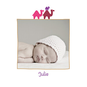 Faire-part de naissance 3 dromadaires photo violet Faire-part de naissance 3 dromadaires photo violet