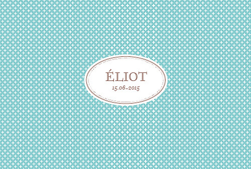 Faire-part de naissance Motif chic écusson paysage turquoise Faire-part de naissance Motif chic écusson paysage turquoise