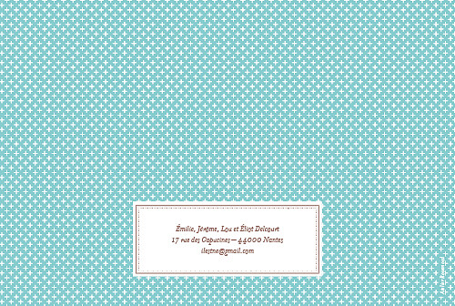 Faire-part de naissance Motif chic écusson paysage turquoise Faire-part de naissance Motif chic écusson paysage turquoise