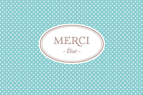 Carte de remerciement Merci motif chic écusson paysage turquoise - Recto Carte de remerciement Merci motif chic écusson paysage turquoise - Recto