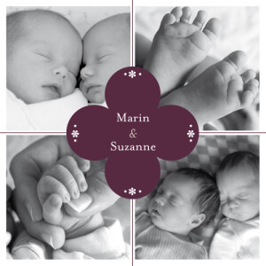 Faire-part de naissance Trèfle jumeaux aubergine Faire-part de naissance Trèfle jumeaux aubergine