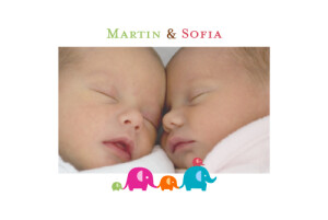 Faire-part de naissance Jumeaux fratrie paysage rouge/vert Faire-part de naissance Jumeaux fratrie paysage rouge/vert