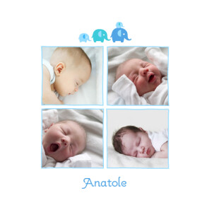 Faire-part de naissance 4 éléphants 4 photos bleu Faire-part de naissance 4 éléphants 4 photos bleu