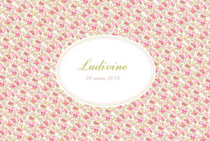 Faire-part de naissance Liberty écusson paysage photo rose Faire-part de naissance Liberty écusson paysage photo rose