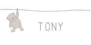 Marque-place Baptême Linge peluche taupe Marque-place Baptême Linge peluche taupe