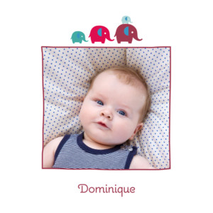 Faire-part de naissance 4 éléphants 2 photos rouge bleu Faire-part de naissance 4 éléphants 2 photos rouge bleu