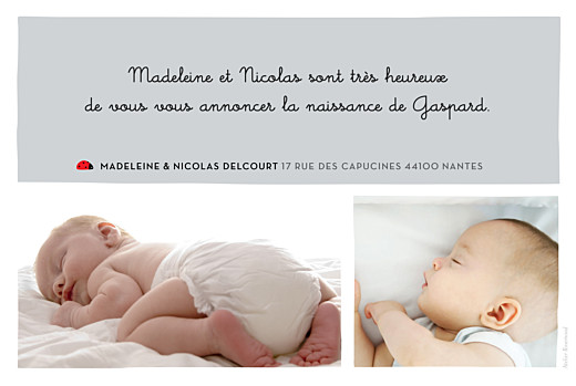 Faire-part de naissance Coccinelle paysage 5 photos gris Faire-part de naissance Coccinelle paysage 5 photos gris