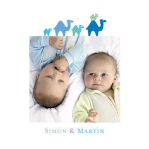 Faire-part de naissance Jumeaux fratrie dromadaires bleu vert Faire-part de naissance Jumeaux fratrie dromadaires bleu vert