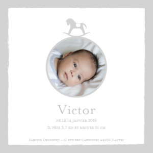 Faire-part de naissance Petit cheval photo gris clair Faire-part de naissance Petit cheval photo gris clair