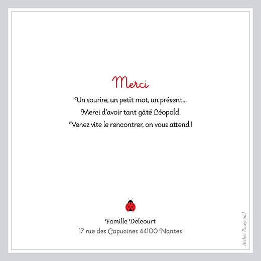 Carte de remerciement Petite coccinelle photo gris - Page 2 Carte de remerciement Petite coccinelle photo gris - Page 2