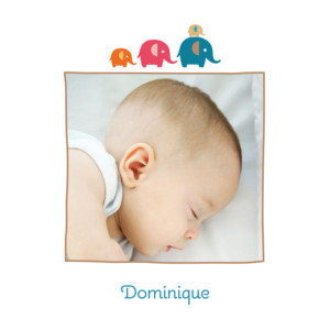 Faire-part de naissance 4 éléphants multicolore Faire-part de naissance 4 éléphants multicolore
