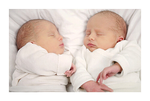 Faire-part de naissance Jumeaux 6 photos paysage blanc - Page 2 Faire-part de naissance Jumeaux 6 photos paysage blanc - Page 2