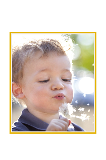 Carte d'anniversaire Lion photo (4 pages) jaune - Page 2 Carte d'anniversaire Lion photo (4 pages) jaune - Page 2