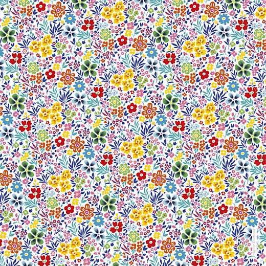 Faire-part de naissance Mille fleurs 2 photos orange - Page 4 Faire-part de naissance Mille fleurs 2 photos orange - Page 4