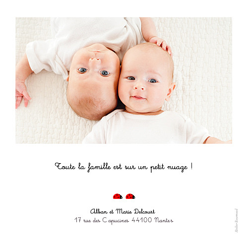 Faire-part de naissance Coccinelle jumeaux gris Faire-part de naissance Coccinelle jumeaux gris