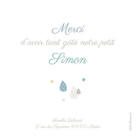 Carte de remerciement Merci tombe la pluie photo bleu vert - Page 2 Carte de remerciement Merci tombe la pluie photo bleu vert - Page 2
