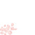 Faire-part de mariage Idylle (4 pages) corail - Page 2 Faire-part de mariage Idylle (4 pages) corail - Page 2