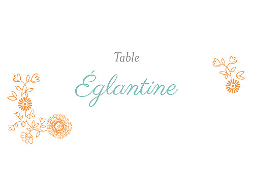 Marque-table mariage Champêtre multicolore Marque-table mariage Champêtre multicolore