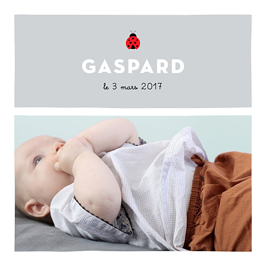 Faire-part de naissance Coccinelle (4 pages) gris Faire-part de naissance Coccinelle (4 pages) gris
