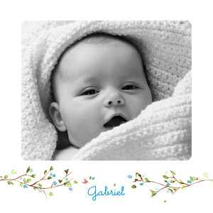 Faire-part de naissance Sur la branche bleu