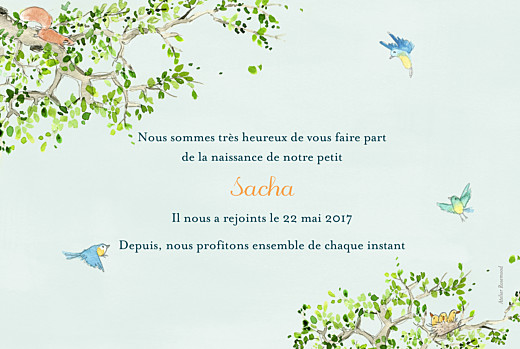 Faire-part de naissance Nous irons au bois photo bleu ciel Faire-part de naissance Nous irons au bois photo bleu ciel