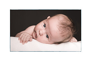 Faire-part de naissance Bilingue pays-bas bleu Faire-part de naissance Bilingue pays-bas bleu