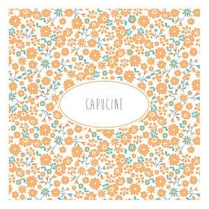 Faire-part de naissance Gaieté orange Faire-part de naissance Gaieté orange