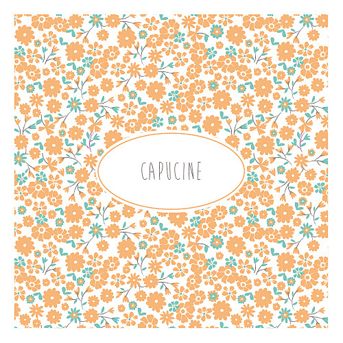 Faire-part de naissance Gaieté orange Faire-part de naissance Gaieté orange