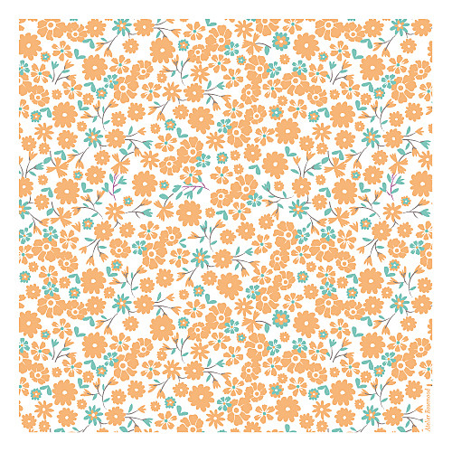 Faire-part de naissance Gaieté orange Faire-part de naissance Gaieté orange