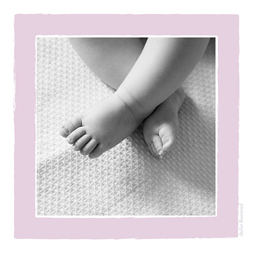 Faire-part de naissance Petit cheval (triptyque) parme Faire-part de naissance Petit cheval (triptyque) parme