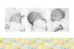 Faire-part de naissance Mille fleurs triplés (3 photos) orange Faire-part de naissance Mille fleurs triplés (3 photos) orange