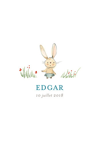 Faire-part de naissance Petit lapin champêtre garçon Faire-part de naissance Petit lapin champêtre garçon