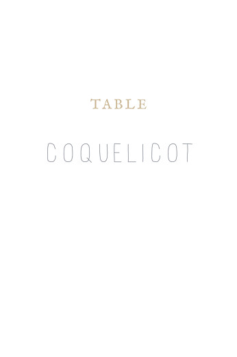 Marque-table mariage Gypsophile kraft - Recto Marque-table mariage Gypsophile kraft - Recto