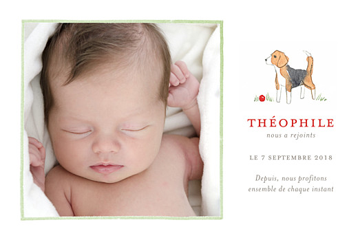 Faire-part de naissance Chien aquarelle photo blanc Faire-part de naissance Chien aquarelle photo blanc