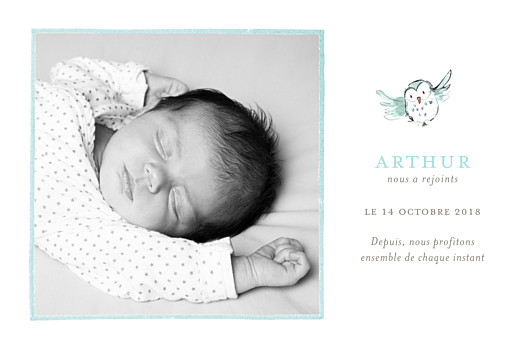 Faire-part de naissance Hibou aquarelle photo blanc Faire-part de naissance Hibou aquarelle photo blanc